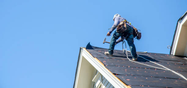 Best Storm Damage Roof Repair  in Pioneer, OH